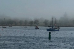 F784668A-1DEE-465F-8E18-8E6632B59753